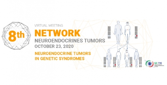 8th Network de Tumores Neuroendócrinos realiza-se em ambiente virtual