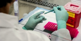 Mecanismo celular que evita anomalias ligadas ao cancro descoberto por investigadores portugueses